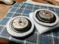 IMG_20251104_120401.jpg IMG_20251104_120401.jpg