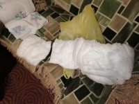 IMG_20251104_183909.jpg IMG_20251104_183909.jpg