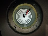 IMG_20251104_184012.jpg IMG_20251104_184012.jpg