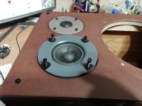 IMG_20251104_184211.jpg IMG_20251104_184211.jpg