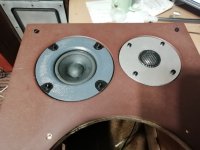 IMG_20251104_184316.jpg IMG_20251104_184316.jpg