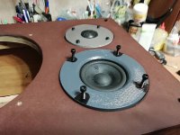 IMG_20251104_184516.jpg IMG_20251104_184516.jpg