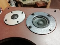 IMG_20251104_184614.jpg IMG_20251104_184614.jpg