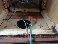 IMG_20251106_190600.jpg IMG_20251106_190600.jpg