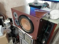 IMG_20251107_202327.jpg IMG_20251107_202327.jpg