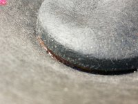 IMG_20251118_074844.jpg IMG_20251118_074844.jpg