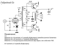 маний гибридник.jpg