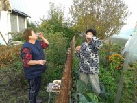 соседи выпивают.jpg