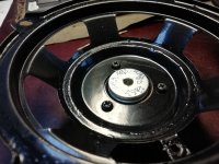 IMG_20251125_094038.jpg