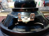 IMG_20251126_083405.jpg