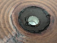 PXL_20251127_050357569.jpg PXL_20251127_050357569.jpg