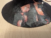 PXL_20251129_105220809.jpg PXL_20251129_105220809.jpg