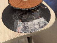 PXL_20251129_125312334.jpg PXL_20251129_125312334.jpg