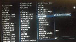 выбор языка.jpg