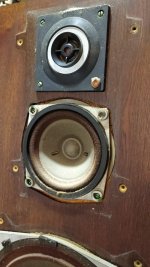 WhatsApp Image 2021-06-07 at 01.13.14.jpg