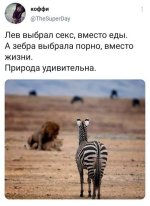 d3buo56smbqscdslqbg0.jpg