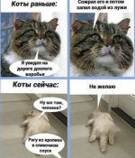d4qmf7usmbqh7be6otmg.jpg