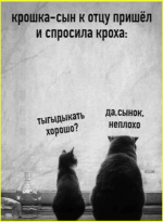 image (1182).png