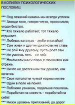 image (1173).png