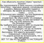 image (1176).png