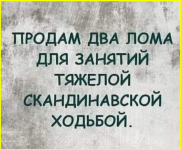 image (5185).png