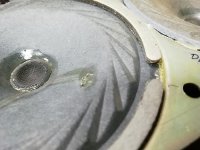 IMG_20251224_082741.jpg
