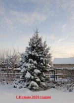 Превед ат наший йолачки.jpg