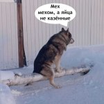 c529d6116d6701dbf1b8885130998cf0.jpg
