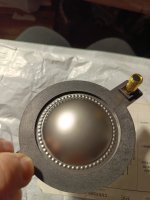 1000074101.jpg