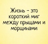жизнь.jpg