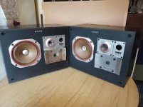 скачанные файлы (1).jpg