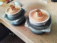 IMG_20260131_131234.jpg IMG_20260131_131234.jpg