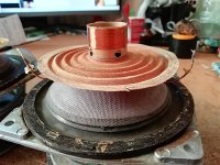 IMG_20260131_131252.jpg IMG_20260131_131252.jpg