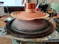 IMG_20260131_131256.jpg IMG_20260131_131256.jpg