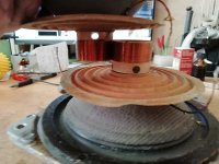 IMG_20260131_131311.jpg IMG_20260131_131311.jpg