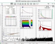 EMU-0202 параметры карты на программе REW V5.jpg