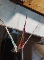 IMG_20260227_211412 копия.jpg