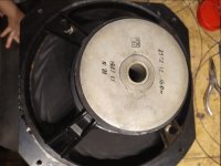 1772731403419 (1).jpg