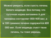 image - 2026-03-26T085600.026.png