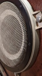 WhatsApp Image 2021-07-13 at 00.05.21.jpg