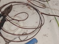 IMG_20260419_100835 копия.jpg