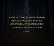 FB_IMG_1777446590687.jpg