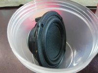IMG_20260505_075242.jpg