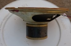 IMG_20260506_105639.jpg