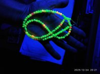 IMG_20251224_202105.jpg