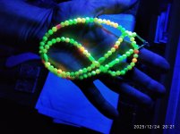 IMG_20251224_202108_1.jpg
