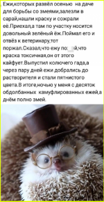image (3730).png