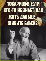 image (3860).png