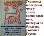 image (4067).png