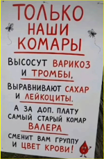 image (5052).png
